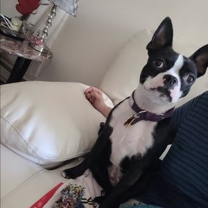 Meet your Posher, Jacque